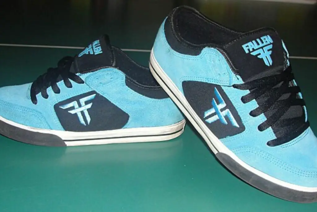 Image of a new pair of chris cole model skate shoes.